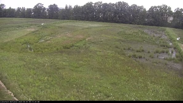 Cell 3_24-06-05_08-15-25-34