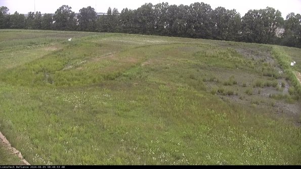 Cell 3_24-06-05_08-48-54-32