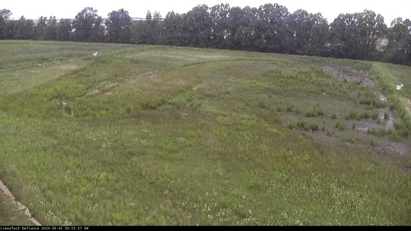 Cell 3_24-06-05_09-55-57-61