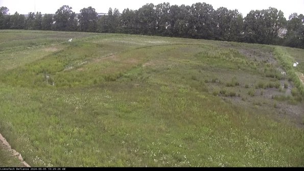 Cell 3_24-06-05_10-29-26-59