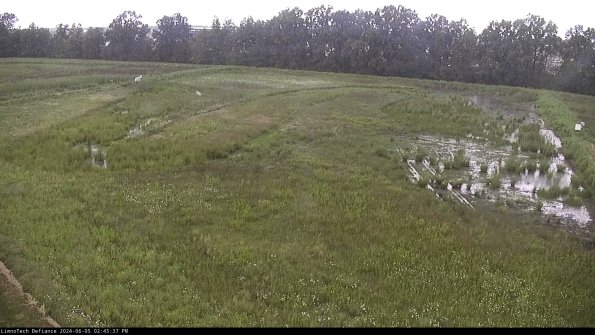 Cell 3_24-06-05_14-45-38-37