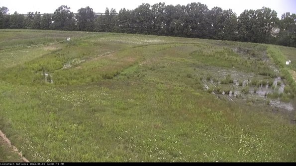 Cell 3_24-06-05_16-04-20-32