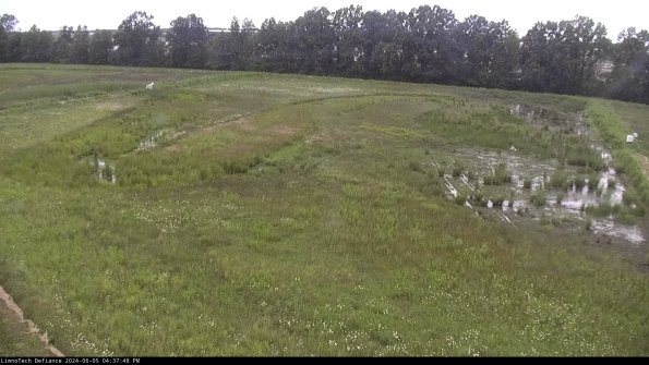 Cell 3_24-06-05_16-37-49-34