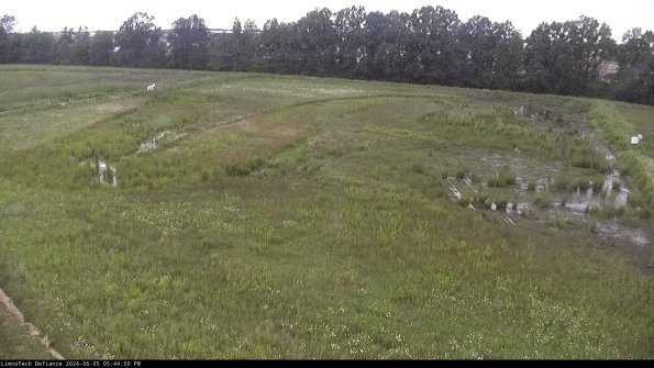 Cell 3_24-06-05_17-44-51-32