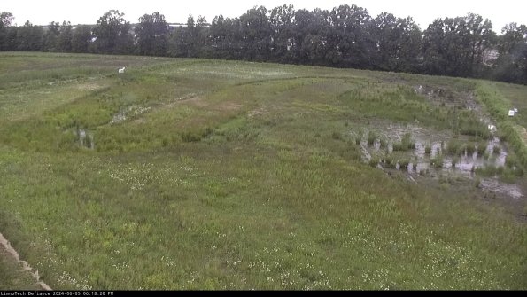 Cell 3_24-06-05_18-18-21-34