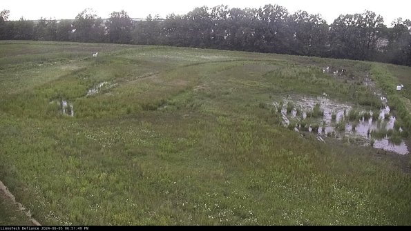 Cell 3_24-06-05_18-51-49-56