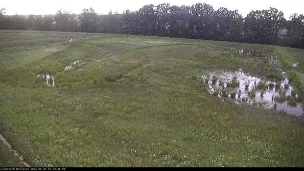 Cell 3_24-06-05_19-58-49-33