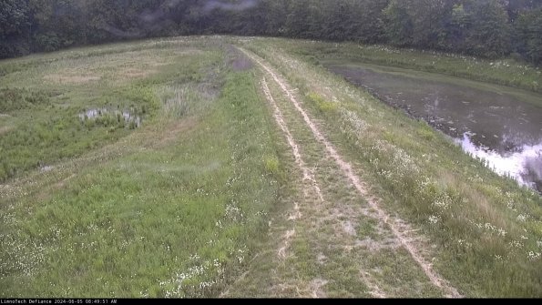 Cell 4 to Basin_24-06-05_08-49-52-35