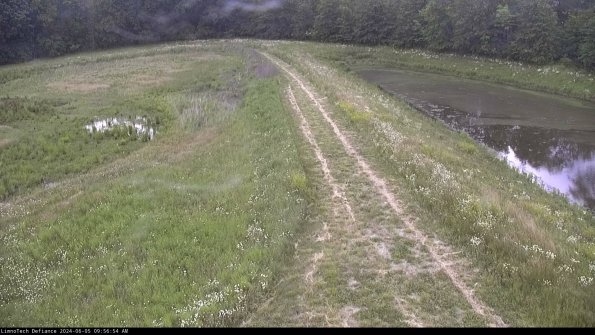 Cell 4 to Basin_24-06-05_09-56-55-33