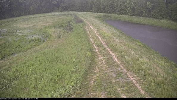 Cell 4 to Basin_24-06-05_14-24-47-32