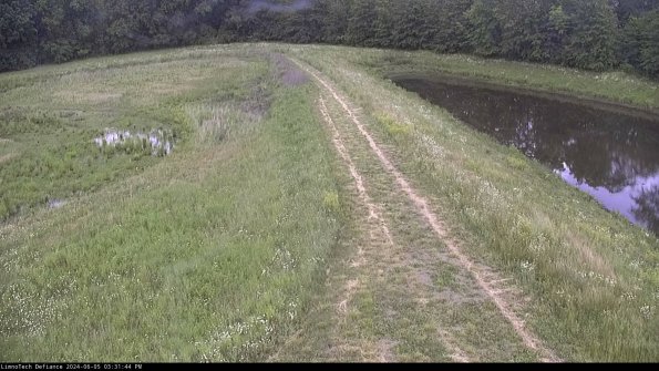 Cell 4 to Basin_24-06-05_15-31-45-32