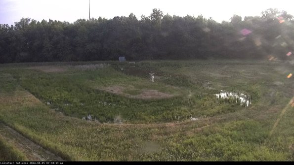 Cell 4_24-06-05_07-08-54-32