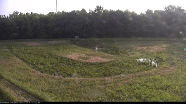 Cell 4_24-06-05_07-42-23-31