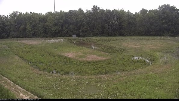 Cell 4_24-06-05_08-15-53-33