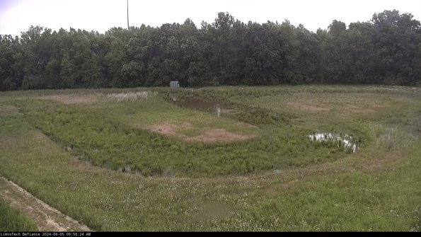 Cell 4_24-06-05_09-56-25-33