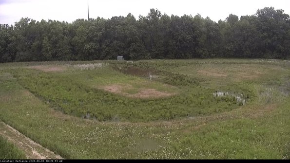 Cell 4_24-06-05_10-29-54-35