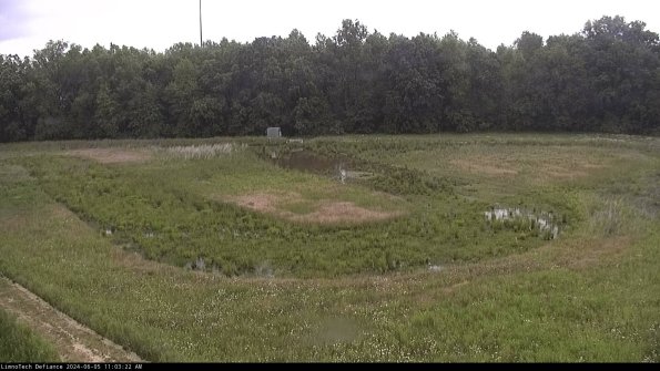 Cell 4_24-06-05_11-03-23-34