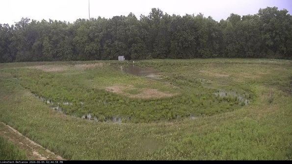 Cell 4_24-06-05_14-44-59-37