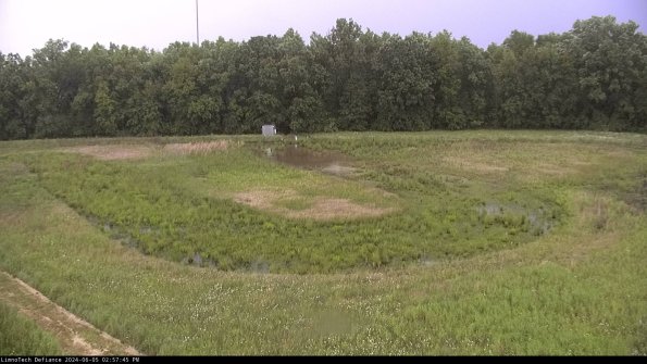 Cell 4_24-06-05_14-57-46-34