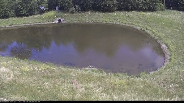 Basin Right_24-06-10_15-00-39-33