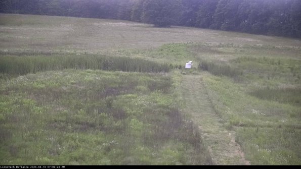 Cell 1 to 2_24-06-10_07-09-21-32