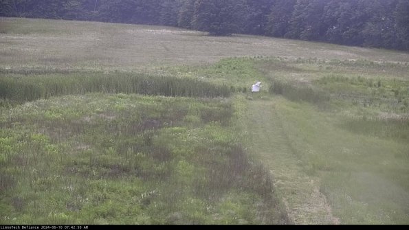 Cell 1 to 2_24-06-10_07-42-51-33