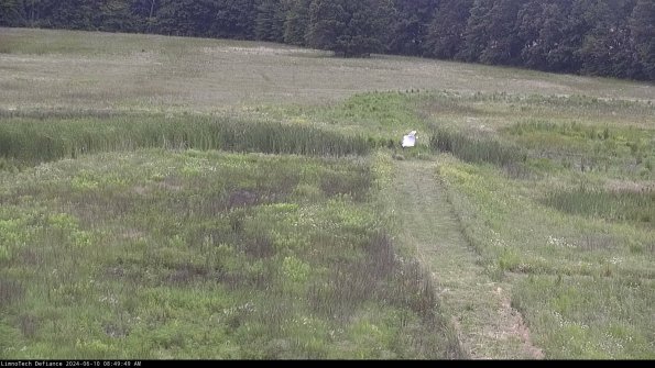 Cell 1 to 2_24-06-10_08-49-50-34