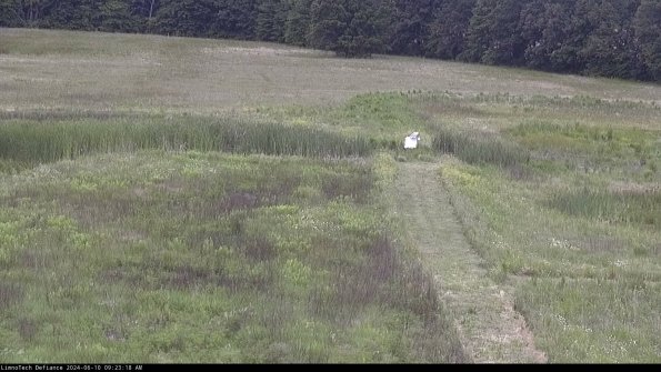 Cell 1 to 2_24-06-10_09-23-19-35