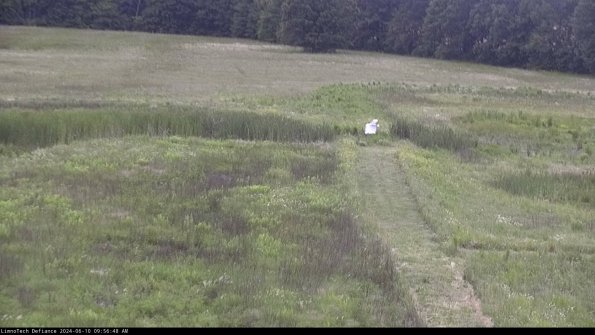 Cell 1 to 2_24-06-10_09-56-49-34