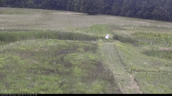 Cell 1 to 2_24-06-10_10-30-17-32