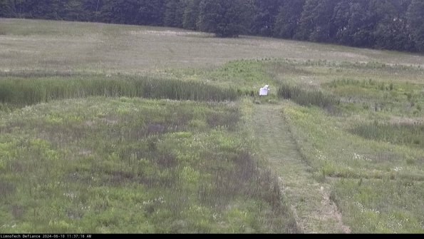 Cell 1 to 2_24-06-10_11-37-17-33