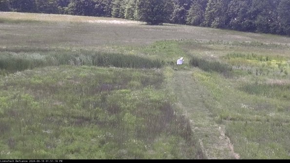 Cell 1 to 2_24-06-10_13-51-17-31