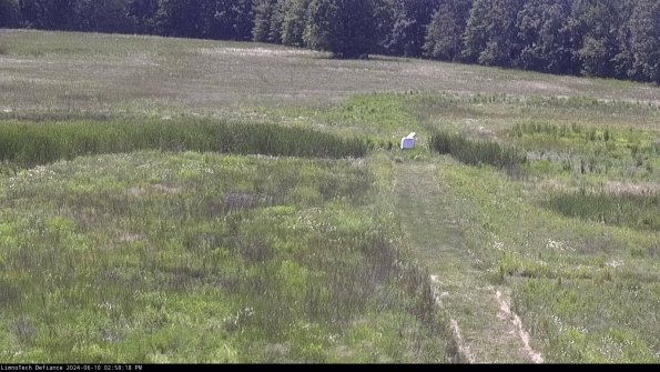 Cell 1 to 2_24-06-10_14-58-19-35