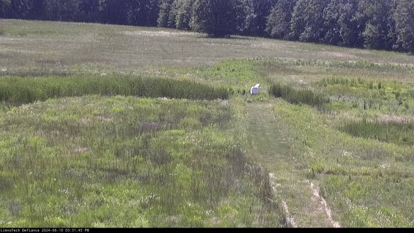 Cell 1 to 2_24-06-10_15-31-46-34