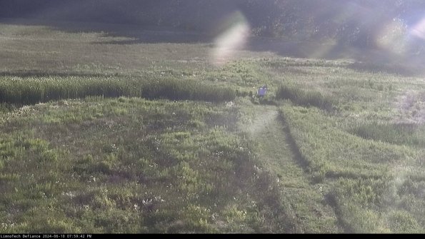 Cell 1 to 2_24-06-10_19-59-43-34