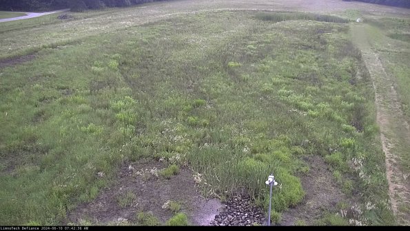 Cell 1_24-06-10_07-42-37-32