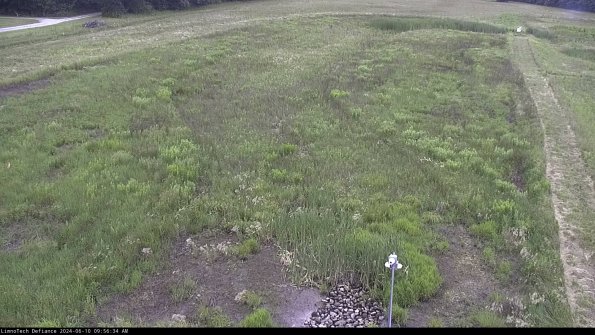 Cell 1_24-06-10_09-56-35-32