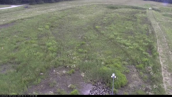 Cell 1_24-06-10_11-37-03-32