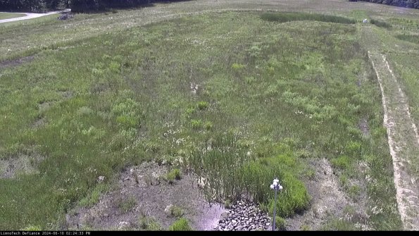 Cell 1_24-06-10_14-24-34-32