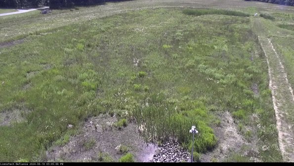 Cell 1_24-06-10_15-05-07-36