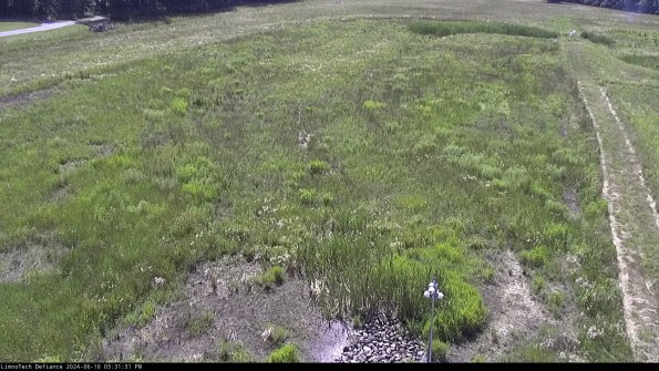 Cell 1_24-06-10_15-31-32-32