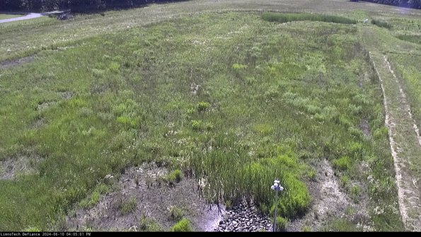 Cell 1_24-06-10_16-05-02-31