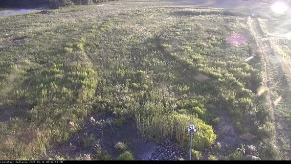 Cell 1_24-06-10_20-32-59-34