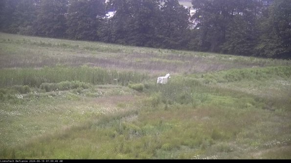 Cell 2 to 3_24-06-10_07-09-47-41