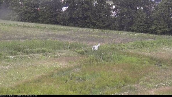 Cell 2 to 3_24-06-10_09-23-45-48