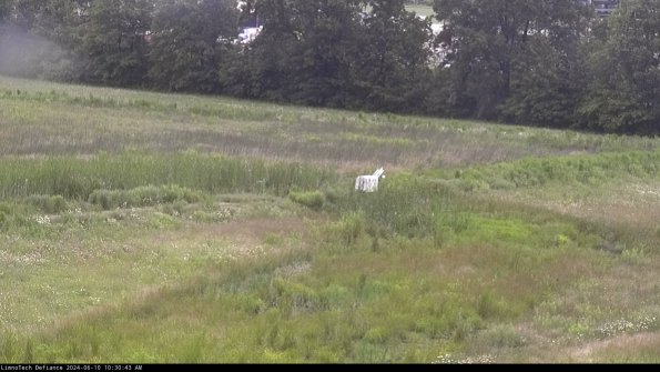 Cell 2 to 3_24-06-10_10-30-43-52