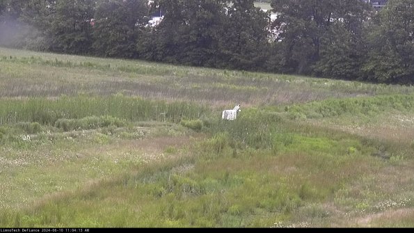 Cell 2 to 3_24-06-10_11-04-13-47