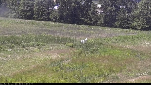 Cell 2 to 3_24-06-10_13-51-43-54