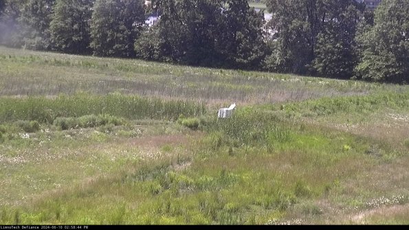 Cell 2 to 3_24-06-10_14-58-45-38