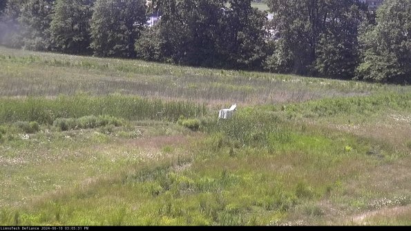 Cell 2 to 3_24-06-10_15-05-32-36